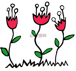 花,性質(zhì),紅