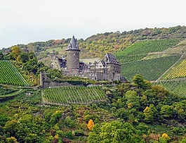 mosel,城堡,葡萄園