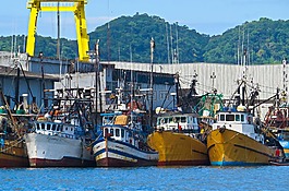 船,海港,海