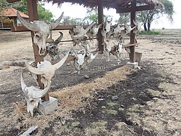 國(guó)家公園,自然,印度尼西亞