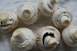 蘑菇,白蘑菇,吃