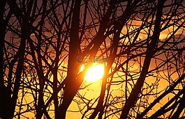日落,太陽(yáng),abendstimmung