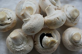 蘑菇,白蘑菇,吃