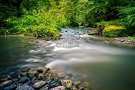 性質(zhì),水,過獨(dú)身生活