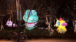 大韓民國,和,星領(lǐng)域