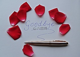 再見,字,玫瑰花瓣