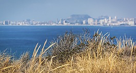 景觀,海,克里夫