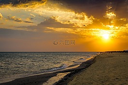 日落,鳥,海