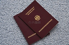 通過,護照,旅行