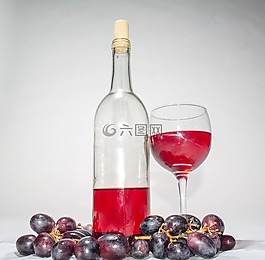 葡萄酒,比諾,葡萄