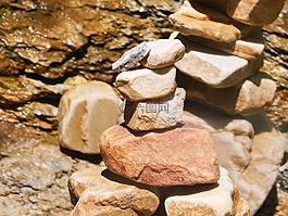 石頭,平衡,禪宗