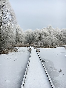 冬天,雪,冷