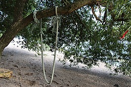 擺動,繩,海灘