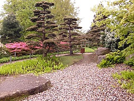 日本花園,花園,離