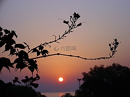 日出,島,海灘