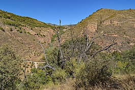 內(nèi)華達,山,景觀