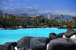 游泳池,池,游泳
