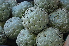 朝鲜蓟,蔬菜,菜园
