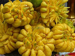 越南,亞洲,熱帶