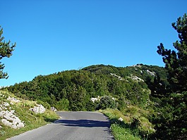 路,山,自然