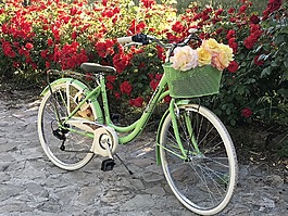 自行車(chē),鮮花,運(yùn)動(dòng)