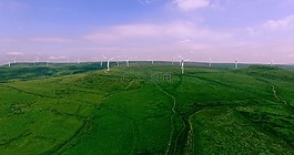 航空攝影,雄蜂,空氣