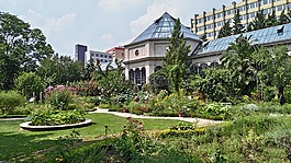 植物園,布達(dá)佩斯,花園