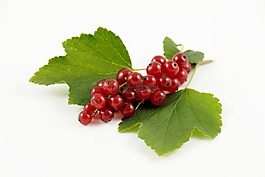 tr?ubele,葡萄干,水果
