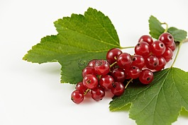 tr?ubele,葡萄干,水果