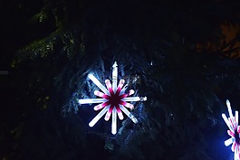 假期,灯,装修