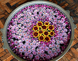 花,rangoli,慶典