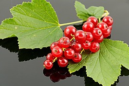 tr?ubele,葡萄干,水果