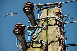 海鷗,當前,strommast