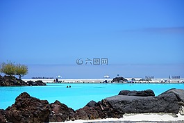 游泳池,池,游泳