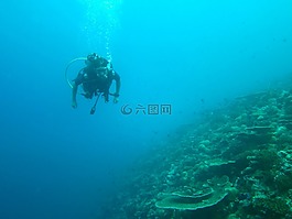 跳水,馬爾代夫,海