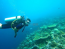 跳水,馬爾代夫,海