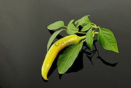 辣椒粉,pepperonie,食品