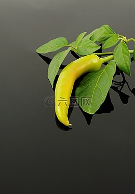 辣椒粉,pepperonie,食品