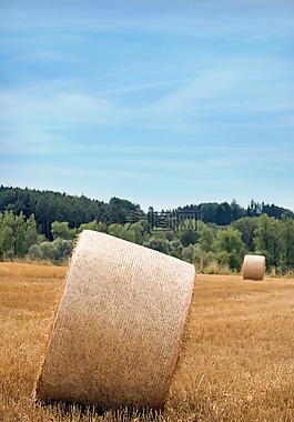 stohballen,秸稈,土地