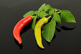 辣椒粉,pepperonie,食品