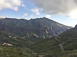 特內(nèi)里費(fèi),土地,金絲雀