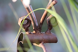 藝術(shù),鐵,不銹鋼