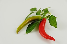 辣椒粉,pepperonie,食品