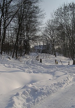 雪,方式,冬季