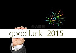 西爾維斯特,新的一年的一天,2015
