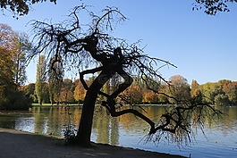 慕尼黑,英语花园,seehaus