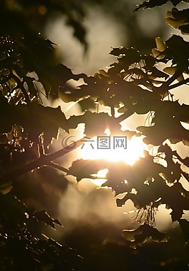 日落,太陽,性質(zhì)