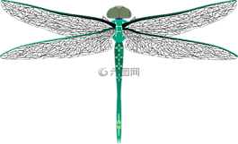 蜻蜓,甲蟲，昆蟲,昆蟲