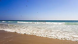 海灘,海,夏季