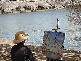 藝術(shù)家,櫻花,畫